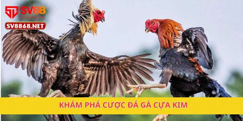 Đá Gà Cựa Kim Tại Sv88 – Cược Chiến Đấu Đỉnh Cao 2 Khám phá cược đá gà cựa kim