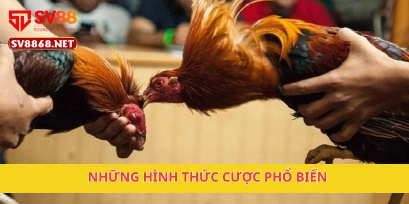 Đá Gà Cựa Sắt Tại SV88 – Những Trận Đấu Gà Hấp Dẫn Nhất 3 Những hình thức cược phổ biến
