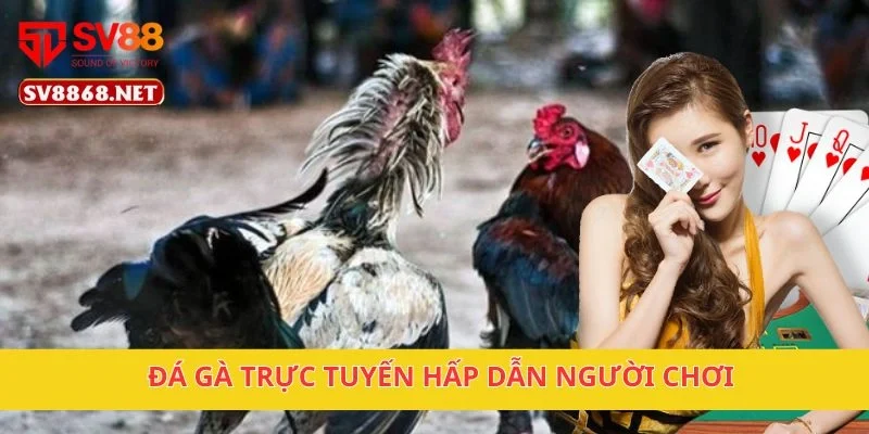 SV88 jag - Link Truy Cập Trang Chủ Chính Thức Tại jag.uk.com 6 Đá gà trực tuyến hấp dẫn người chơi