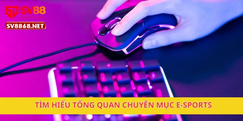 E-SPORT SV88 – Đặt Cược Game Hot Cùng Tỷ Lệ Hấp Dẫn 2 Tìm hiểu tổng quan chuyên mục E-sports