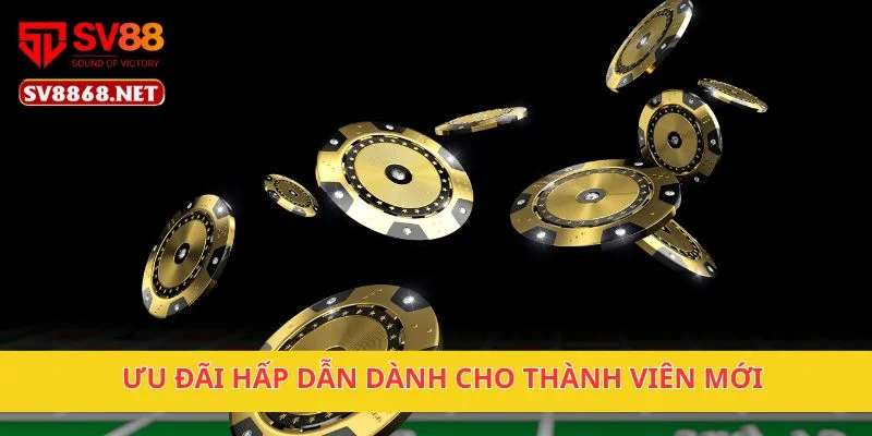 Khuyến Mãi 2 Ưu đãi hấp dẫn dành cho thành viên mới