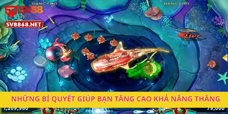 Săn Cá Kỳ Lân Nhận Thưởng Khủng Cùng Nền Tảng Sv88 Uy Tín 3 Những bí quyết giúp bạn tăng cao khả năng thắng