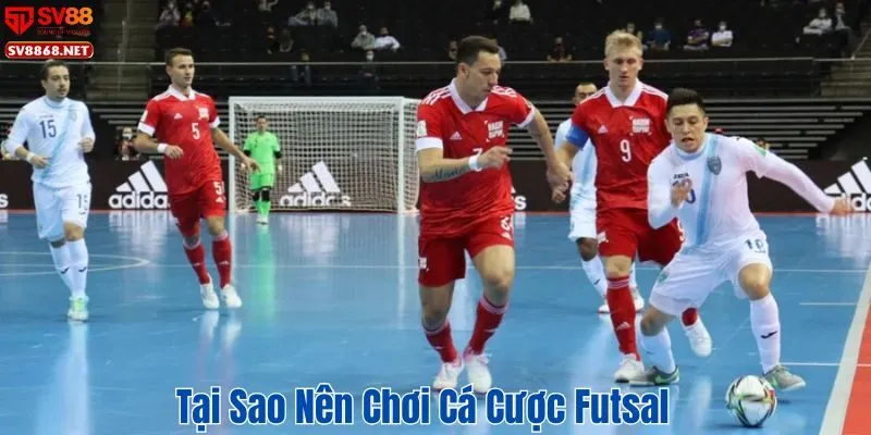 Cá Cược Futsal Trực Tuyến Tại SV88 – Tỷ Lệ Cược Hấp Dẫn 2 Tại sao nên chơi cá cược futsal