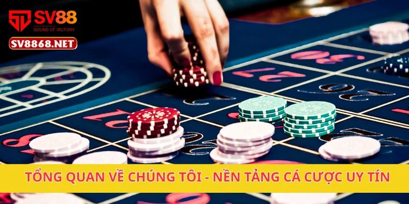 Về Chúng Tôi 1 Tổng quan về chúng tôi - nền tảng cá cược uy tín